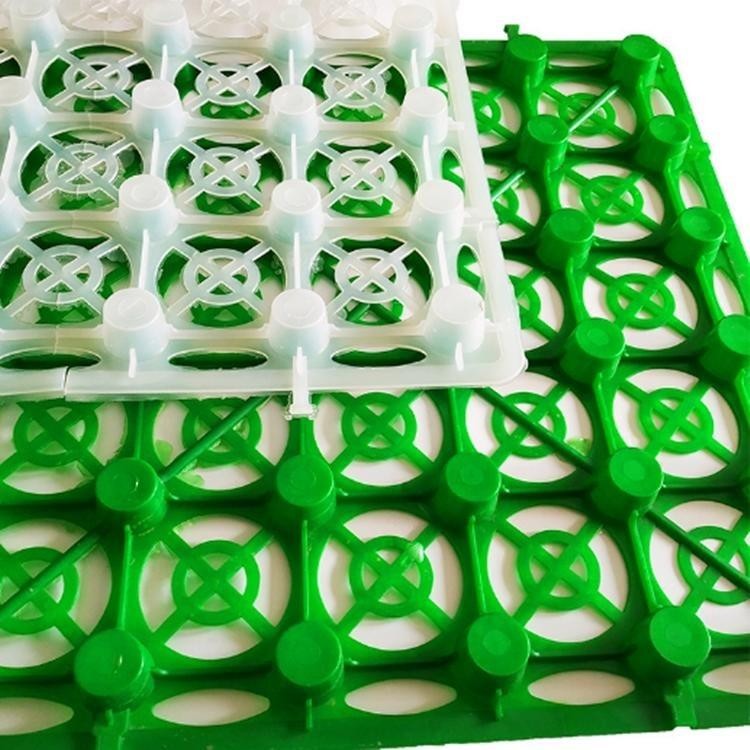 塑料(liao)排水(shui)闆